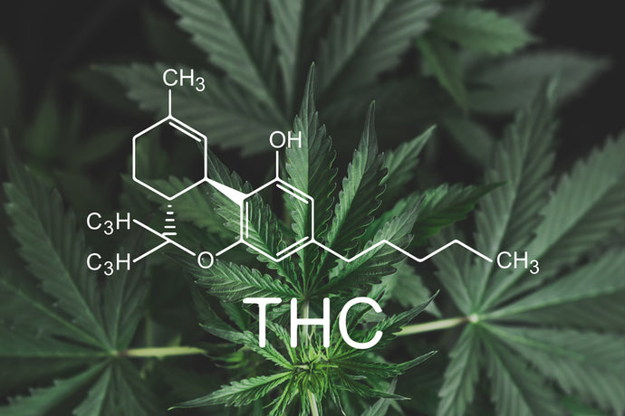 What's The Difference Between THC and THCA