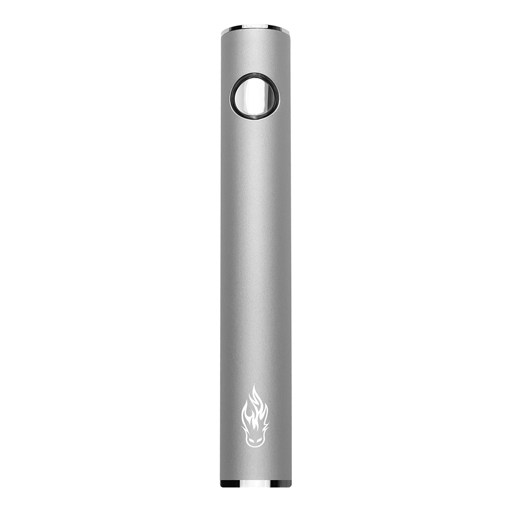 triton II battery silver